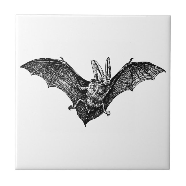 Gothic Vintage-Fledermaus Fliese (Vorderseite)