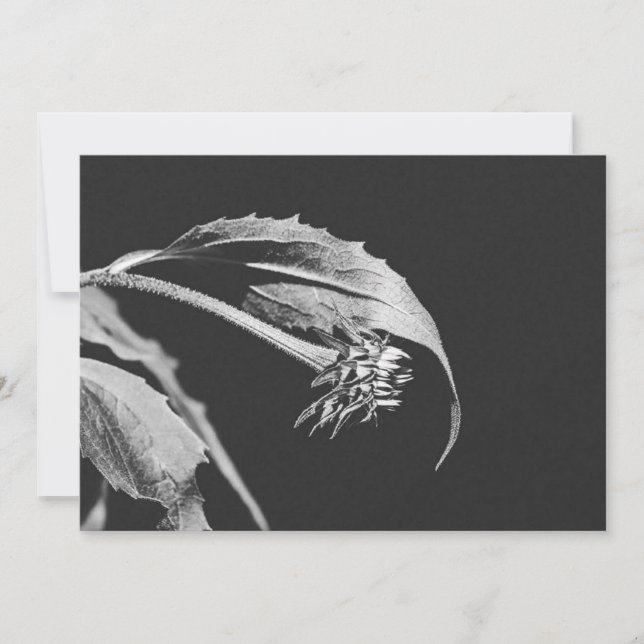 Gothic Wilting Flower Photo Reprint Einladung (Vorderseite)