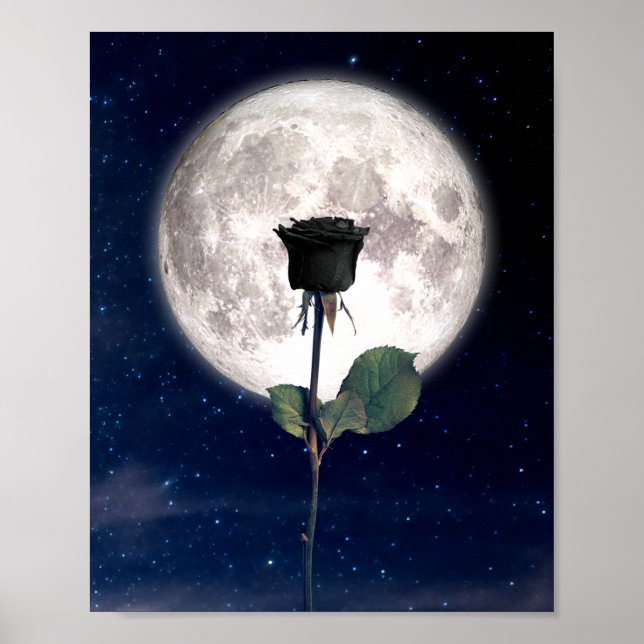 Gotisch, Vintag, Viktorianisch, schwarze Rose, dun Poster (Vorne)