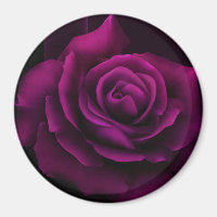 Gotische Blume mit Lila Rote Rose
