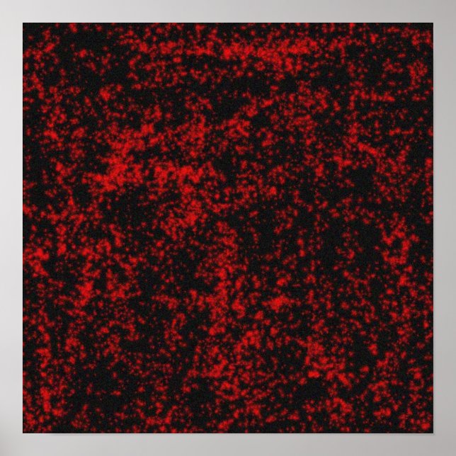 gotische Sterne Poster (Vorne)