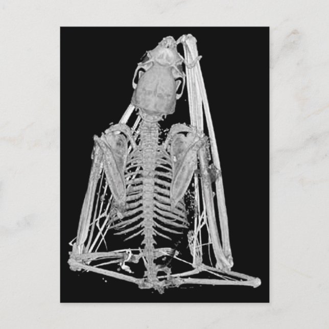Gotisches Schläger-Skelett Postkarte (Vorderseite)