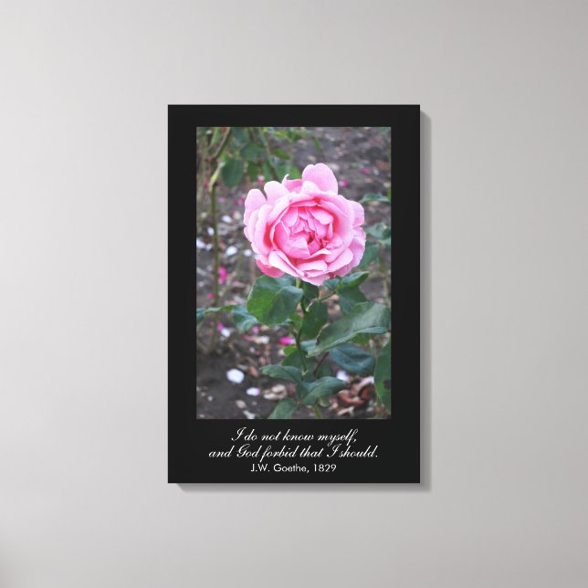 Gott bewahre, dass ich mich selbst kennen sollte - leinwanddruck (Vorderseite)