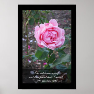 Gott bewahre, dass ich mich selbst kennen sollte - poster