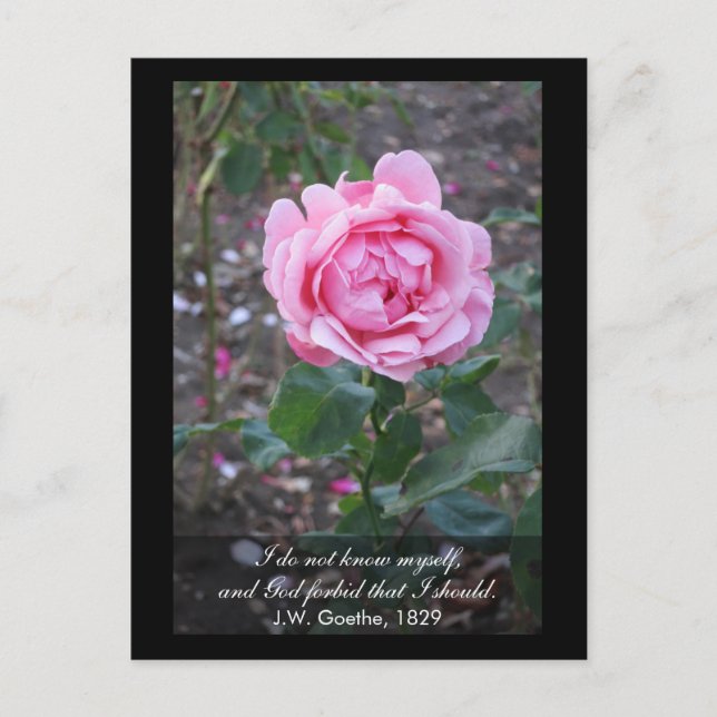 Gott bewahre, dass ich mich selbst kennen sollte - postkarte (Vorderseite)