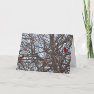 Gott erschaffen Schönheit, Kardinäle Karte