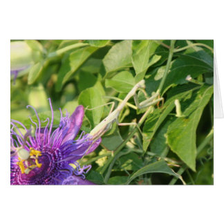 Gott ist ausführlich