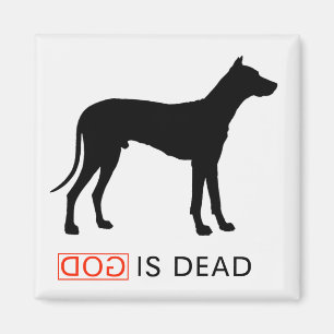 Gott ist toter Magnet