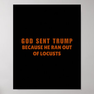 Gott sandte Trump, weil ihm die Heuschrecken ausgi Poster
