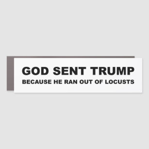 Gott schickte Trump, weil er aus den Schlägen gera Auto Magnet