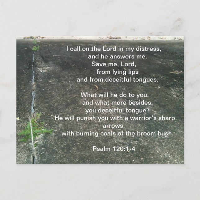 Gott schützt dich vor Lügnern Postkarte (Vorderseite)