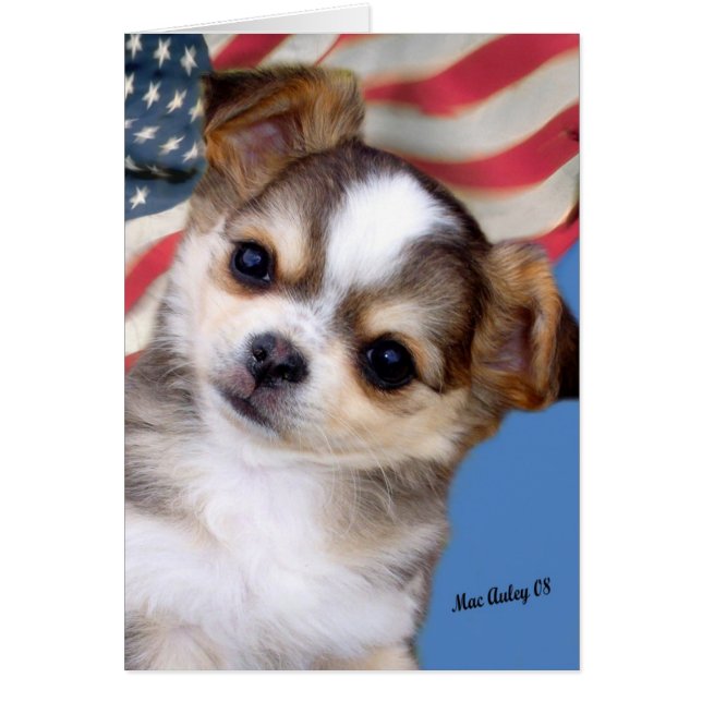 Gott segne Amerika (Vorne)