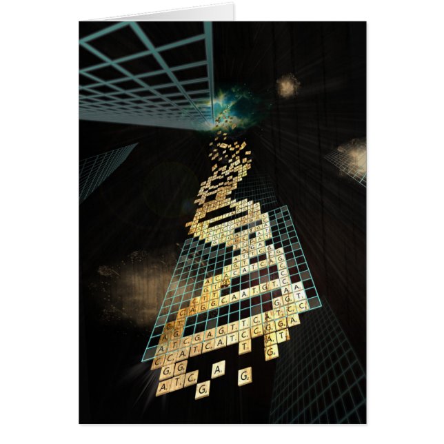 Gott spielt nicht Würfel 2014 (Vorne)