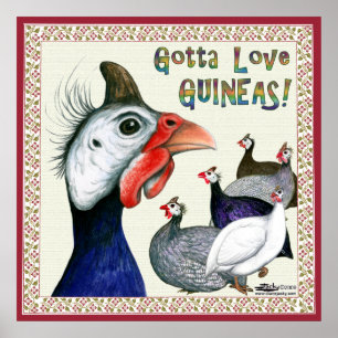Gotta Liebe Guinea! Poster