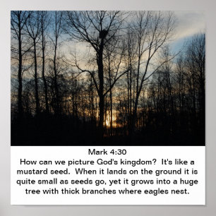 Gottes Königreich Nest Poster