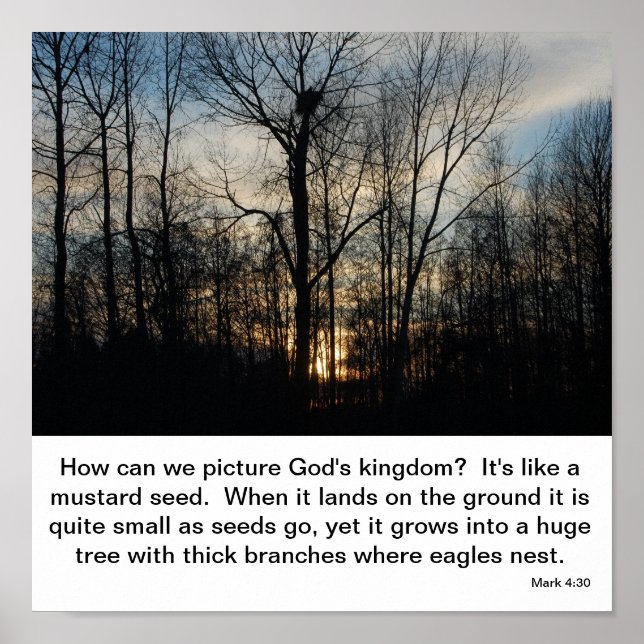 Gottes Königreich Nest Poster (Vorne)