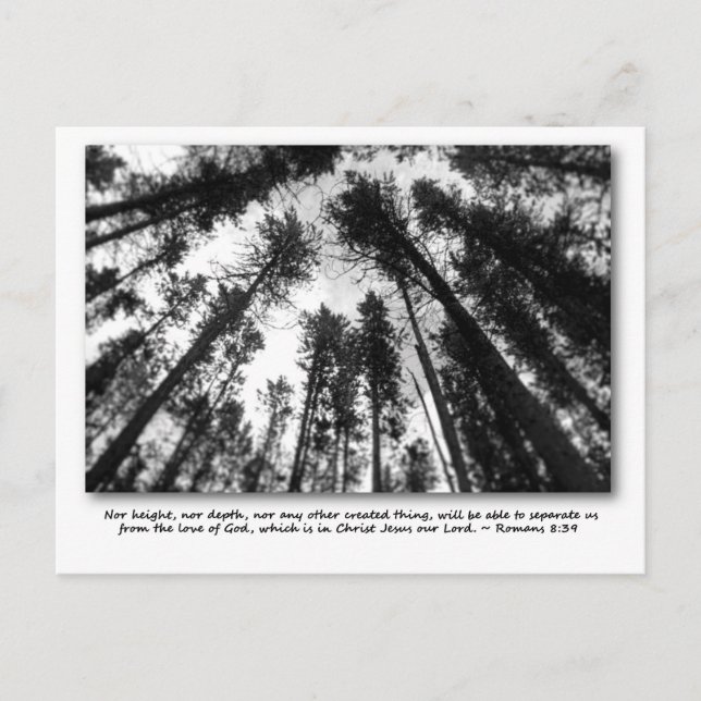 Gottes Liebe Postkarten (Vorderseite)