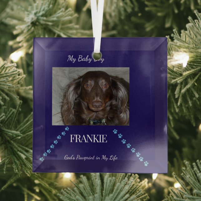 Gottes Pfotenabdruck Andenken Ornament Aus Glas (Insitu)