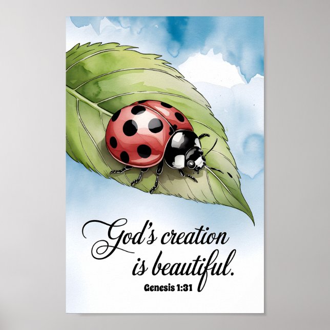 Gottes Schöpfung ist wunderschönes Christliches Ki Poster (Vorne)