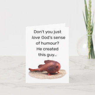 Gottes seltsame Schöpfung