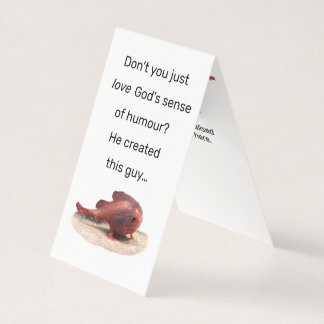 Gottes seltsame Schöpfung