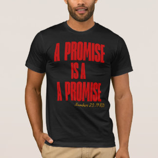 Gottes Versprechen T-Shirt