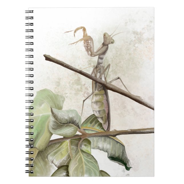 Gottesanbeterin Aquarell  Notizblock (Vorderseite)
