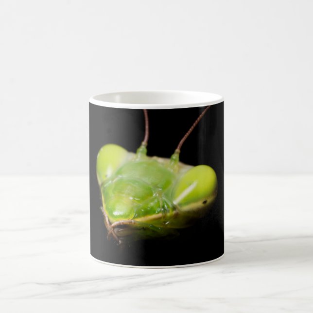 Gottesanbeterin Kaffeetasse (Mittel)