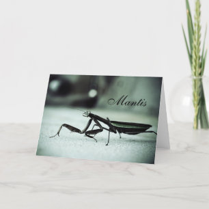 Gottesanbeterin Karte