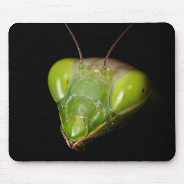 Gottesanbeterin Mousepad (Vorne)