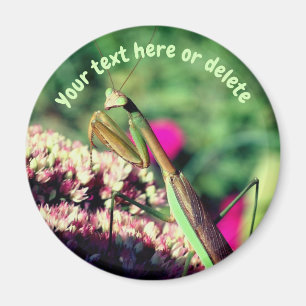 Gottesanbeterin Natur Personalisiert Magnet