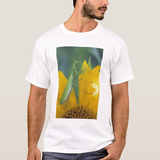 Gottesanbeterin T-Shirt (Vorderseite)