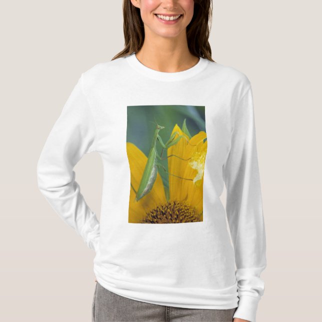 Gottesanbeterin T-Shirt (Vorderseite)
