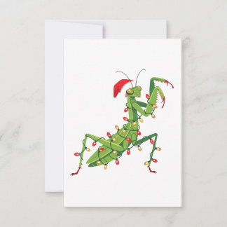 Gottesanbeterin Weihnachtsmann Hut Insektensammler Mitteilungskarte
