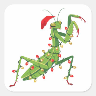 Gottesanbeterin Weihnachtsmann Hut Insektensammler Quadratischer Aufkleber