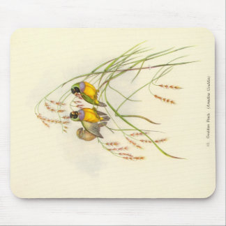 Gould - Gouldian Fink-Mausunterlage Mousepad