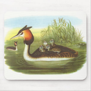 Gould - großer Grebe mit Haube - Podiceps Mousepad