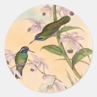 Gould Hummingbirds and Orchids Runder Aufkleber