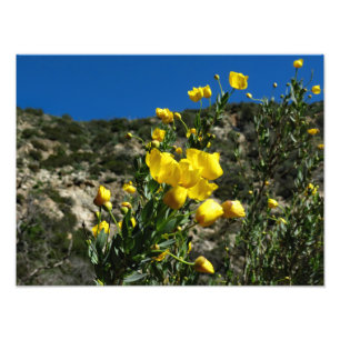 Gould Mesa Trail, CA Fotodruck