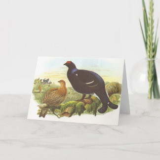 Gould - Moorhuhn - Lyrurus tetrix Karte