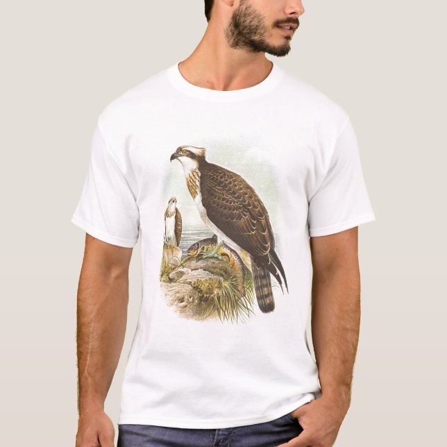 Gould - Osprey - Pandion haliaetus T-Shirt (Vorderseite)