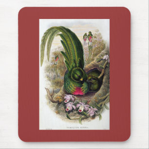 Gould - Quetzal Mousepad