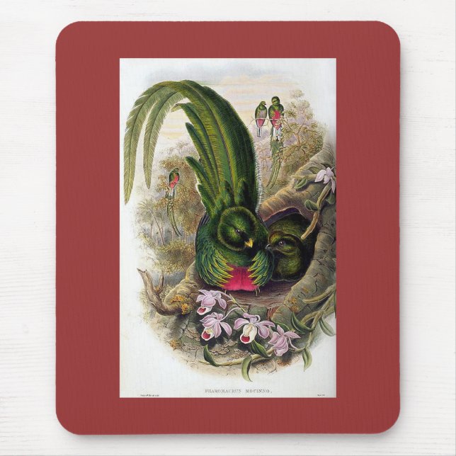Gould - Quetzal Mousepad (Vorne)