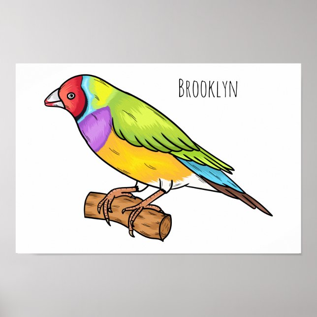 Gouldian finch bird Cartoon Illustration Poster (Vorne)