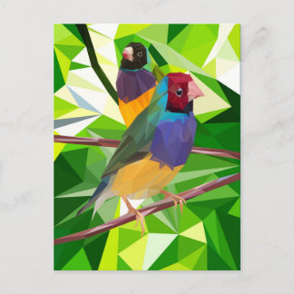 Gouldian Finch Duo Postkarte