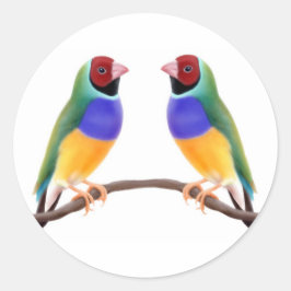 Gouldian Finch Friends Runder Aufkleber