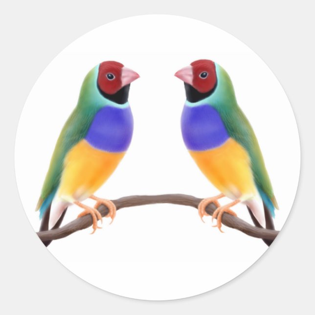 Gouldian Finch Friends Runder Aufkleber (Vorderseite)