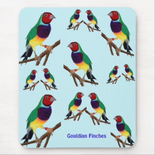 ~ Gouldian Finch ~ Original Art ~ Maus-Pad Mousepad