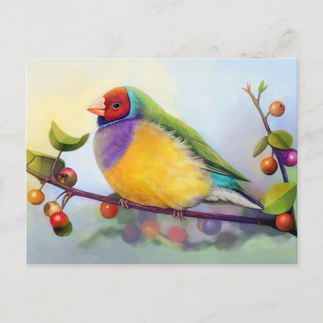 Gouldian Finch realistisches Bild Postkarte (Vorderseite)