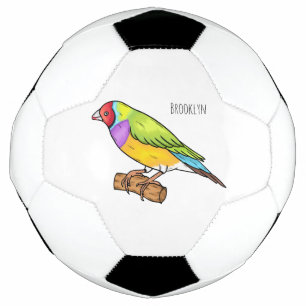 Gouldian-Fink Cartoon-Illustration  Fußball